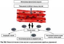 Методы восстановления мышц и организма, избавляемся от крепатуры и боли в с