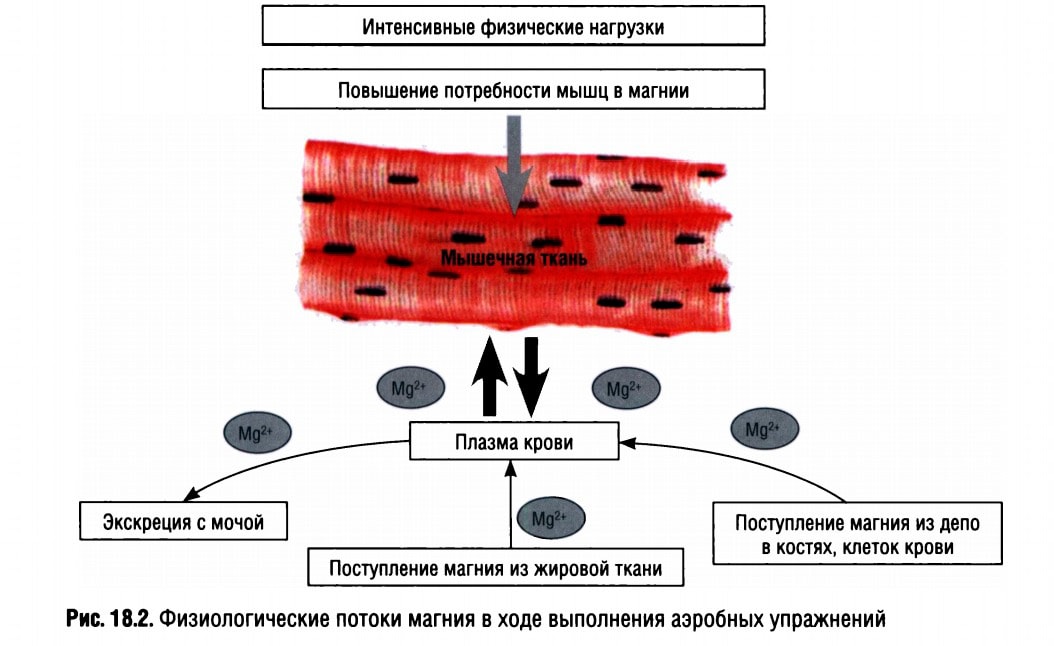 Ванны для расслабления мышц