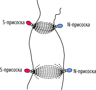 Магнитные присоски хаси отеки на ногах