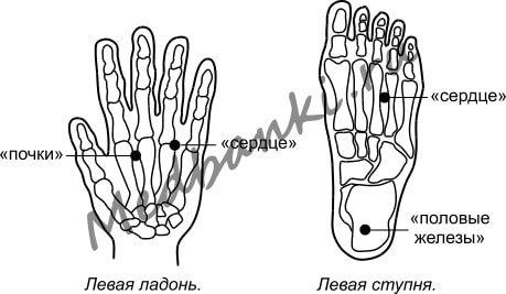 9. Гиперлипидемия, лечение банками Haci