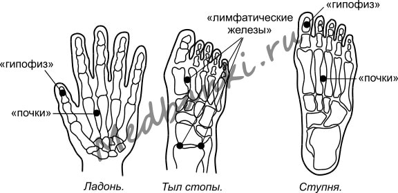 13. Паралич лицевого нерва, лечение банками Хаси