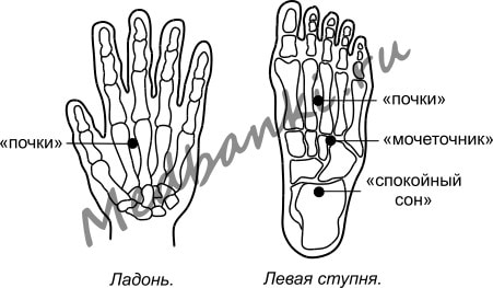 16. Невралгия тройничного нерва, лечение присосками HACI