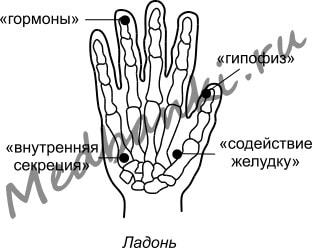 17. Неврастения, лечение присосками HACI