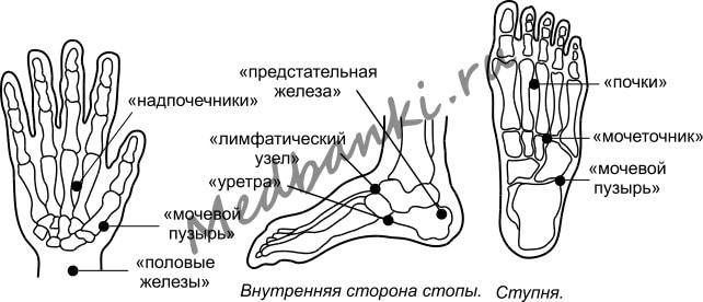 39. Пиелонефрит, лечение присосками HACI